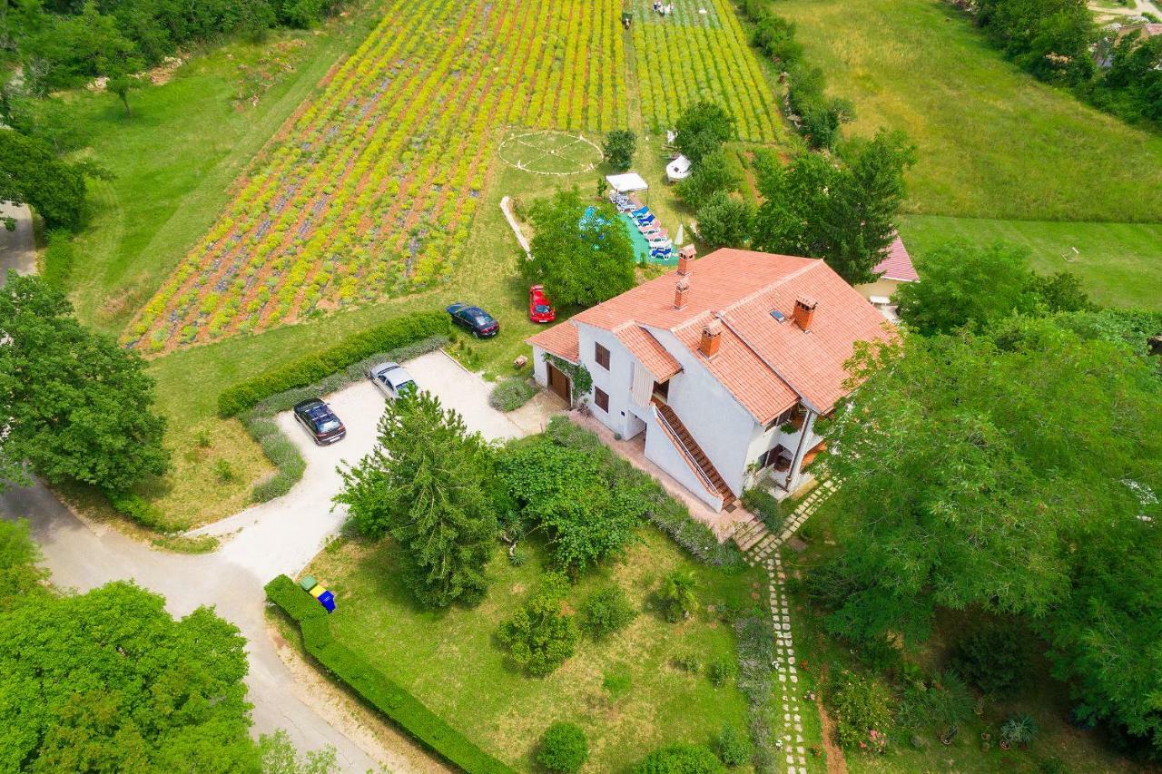 Apartments Valoda Nedeščina Eksteriør billede